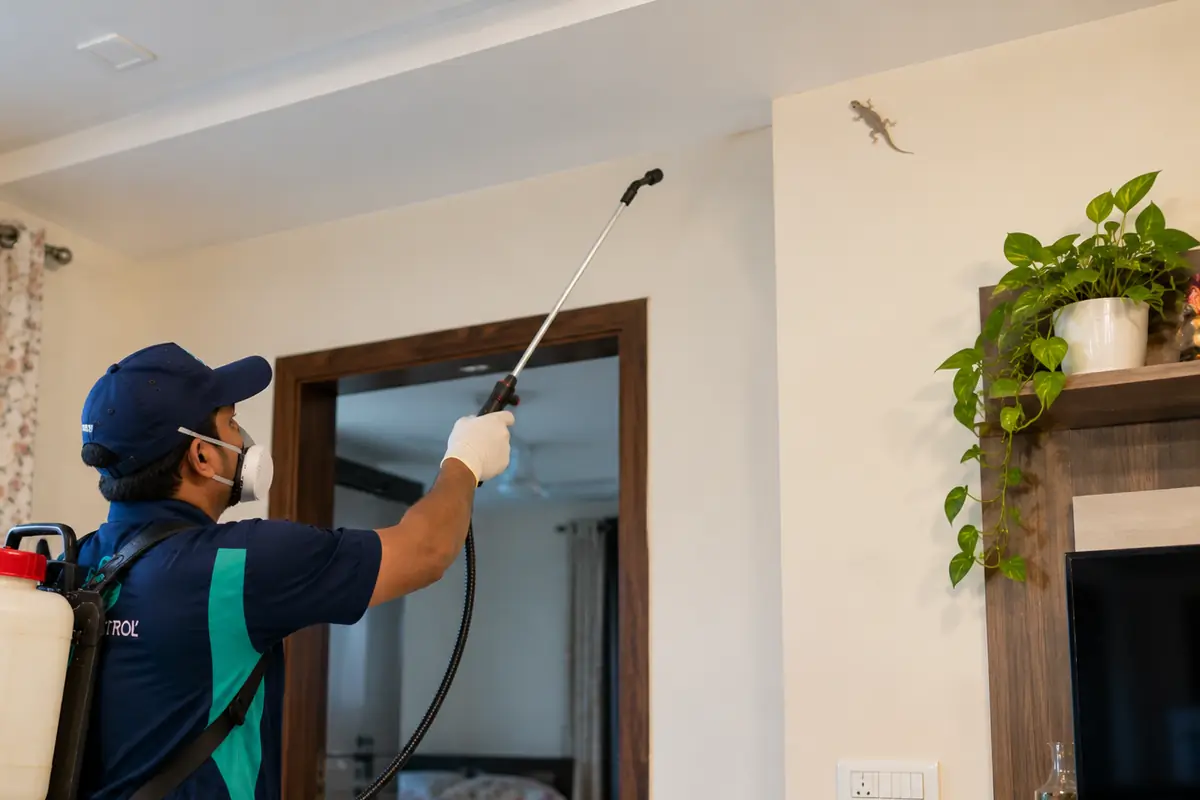 Technician spraying near the ceiling corner of a living room where a lizard sits